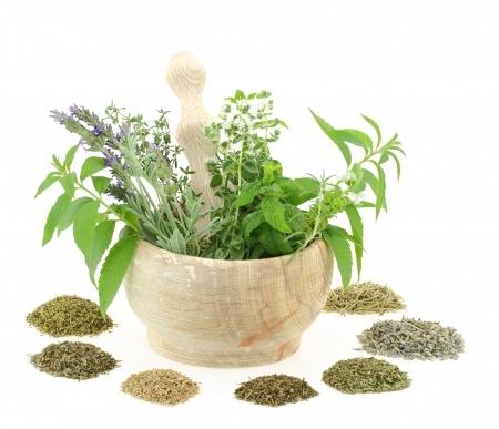 Herbs for cooking