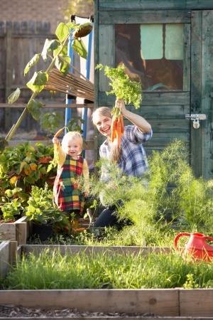 Woman and her child harvesting carrots from her potager garden