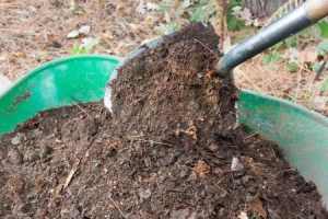 compost needed for gardening in four easy steps