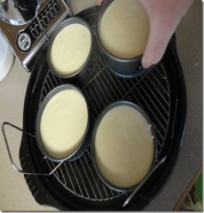placing prepared cheesecake on rack