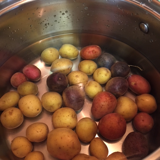 boiling baby potatoes