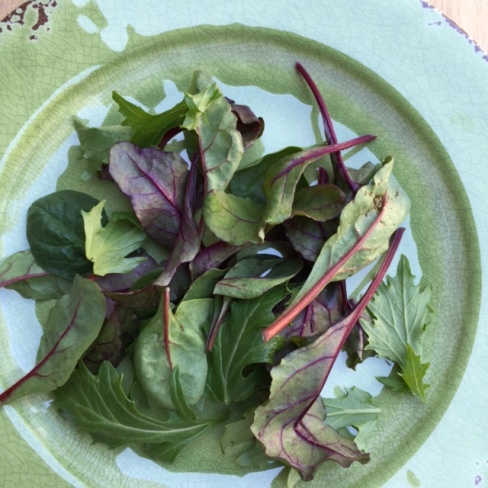 plate of baby greens
