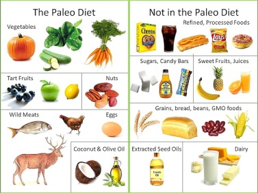 the paleo diet verse a non paleo diet