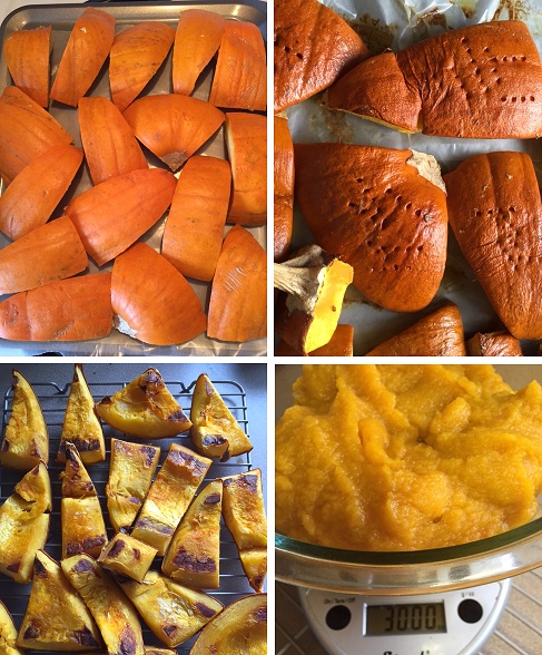 collage of Roasted Pumpkin