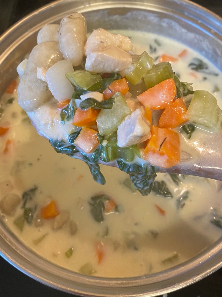 Gnocchi  & Chicken  Vegetable  Soup